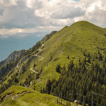 Lajnar Zgornja Sorica
