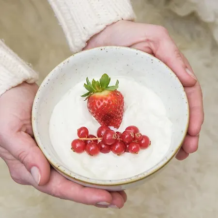 Lajnar Ξενοδοχείο Zgornja Sorica